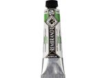 Rembrandt Vernice Acrilica In Tubetto 40 Ml Verde Permanente Chiaro 618
