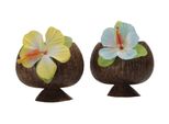 Boland Party Cup Cocco