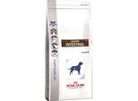 Royal Canin Intestinal Gastro 2Kg - Cibo Secco Per Cani