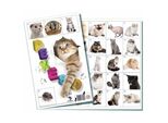 Gioco Da Tavolo Pexeso Cats 32 Coppie Di Immagini