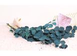 Fiori Secchi Di Eucalipto Eterna Durata Bouquet Di Fiori Secchi Decorazione Per Il Salotto Di Casa