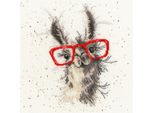 Set Per Punto Croce Bothy Threads "Llama"", 26X26Cm, XHD40, Schema Contato"