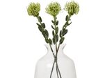 Hill Interiors - Fiore Artificiale HI4811 (Taglia Unica) (Verde)
