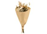 Bouquet Di Fiori Secchi - Fiori Di Campo Naturali - Ø20 Cm - 50 Cm Di Altezza - Fiori Secchi E Fronde D'erba - Toni Naturali Beige E Bianco - Fiori Secchi Decorativi Per Interni