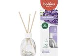 Bolsius True Scents - Diffusore Di Fragranza Per Ambienti - Lavanda - 1 Pz. - 60 Ml - Fino A 6 Settimane - Profumo Per La Casa - Con Estratti Naturali