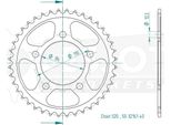Pignone Esjot "32161"" 520, Acciaio 41 Denti"