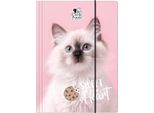 A4 Cleo E Frank Il Gatto Elastico Cartella 45 Derform