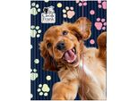 A4 Cleo E Frank 44 (Cane) Cartella Derform Ad Elastico