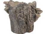 Vaso Da Fiori Clayre & Eef 20X18X18 Cm Pietra Marrone