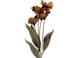 Fiore Artificiale Clayre & Eef 8X5X60 Cm In Plastica Marrone