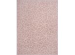Biederlack Coperta Accogliente Socculent Bl 150X200 Cm Coperta Rosa Coperta Accogliente Coperta Divano