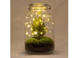 Bottle Garden Christmas - Kit Terrario Fai Da Te - ↕28Cm - Terrario Natalizio Fai Da Te - Con Mini Albero Di Natale E Muschio - Ecosistema Autosufficiente - Per Casa E Ufficio