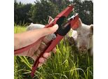 Pinze Per Marchi Auricolari Per Animali Da Allevamento, Rosse, Strumento Per Maiali, Mucche, Pecore, Capre, Agricoltura
