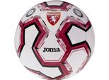 Joma Torino Fc Replica Ball A141800A5101, Palloni Da Calcio, Unisex, Bianco, Misura: 5
