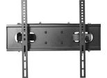 Gembird Supporto A Parete WM-55F-04 | Fix | Nero