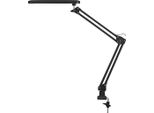 Lampada Da Disegno A Vite Nera Con Led Incorporato 6W Raul 4419 Rabalux