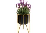 Dandibo Sgabello Per Fiori Con Vaso In Metallo Oro Nero Rotondo S 32 Cm Supporto Per Fiori 96039 Colonna Per Fiori Supporto Per Piante Moderno Sgabello Per Piante