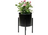 Dandibo Sgabello Per Fiori Con Vaso In Metallo Nero 32 Cm Portafiori 96153 Colonna Portafiori Moderna Sgabello Per Piante