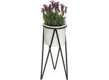 Dandibo Sgabello Per Fiori Con Vaso In Metallo Nero Bianco S 50 Cm Supporto Per Fiori 96043 Colonna Per Fiori Supporto Per Piante Moderno Sgabello Per Piante