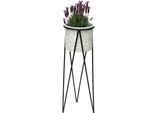 Dandibo Sgabello Per Fiori Con Vaso In Metallo Nero Bianco L 75 Cm Supporto Per Fiori 96043 Colonna Per Fiori Supporto Per Piante Moderno Sgabello Per Piante