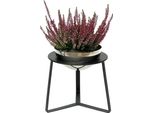 Dandibo Sgabello Per Fiori In Metallo Con Vaso Nero Argento 27 Cm Supporto Per Fiori 96091 M Colonna Per Fiori Supporto Per Piante Moderno Sgabello Per Piante