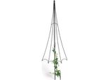 Dandibo Supporto Per Arrampicata Giardino Metallo Nero Ombrello Traliccio Per Arrampicata Fiori Piante Rampicanti Rose Spina A Terra Supporto Per Arrampicata Porta Fiori Colonna Per Arrampicata