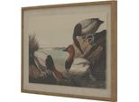 Hill Interiors - Arte Murale Incorniciata "Flora & Fauna Collection"", Pannello Anatre HI5183 (45 Cm X 2 Cm X 62 Cm) (Marrone/Bianco/Nero)"