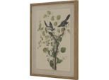 Hill Interiors - Quadro Da Parete "Flora & Fauna Collection"", Averla HI5185 (50 Cm X 2 Cm X 40 Cm) (Marrone/Bianco/Verde)"