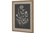 Hill Interiors - Quadro Da Parete "Flora & Fauna Collection"", Prato HI5170 (50 Cm X 2 Cm X 40 Cm) (Bianco/Nero)"