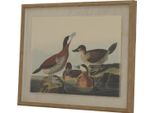 Hill Interiors - Quadro Da Parete "Flora & Fauna Collection"", Anatre HI5172 (50 Cm X 2 Cm X 40 Cm) (Marrone/Bianco/Nero)"