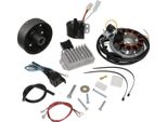 Sistema Di Accensione A Magnete Luminosa 6V 100W Corrente Continua Con Accensione Completamente Elettronica Integrata Per TS250 (4A Marcia) E TS250/1
