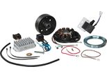 Sistema Di Accensione A Magnete Luminosa 12V 100W Con Accensione Completamente Elettronica Integrata Per Mz RT125