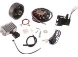 Sistema Di Accensione A Magnete Luminosa 6V 75W Con Accensione Completamente Elettronica Integrata RT125