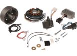 Sistema Di Accensione A Magnete Luminosa 12V 180W Con Accensione Completamente Elettronica Integrata, Adatta Per ES175/250/300 -/1/2, ETS250, TS250, 4