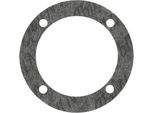 Guarnizione Per Tappo Di Tenuta Sull'albero Di Uscita ES175/250, BK350 ( Marca: Plastanza / Materiale Abil )