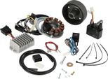 Sistema Di Accensione A Magnete Leggero 12V 150W Con Doppia Accensione Elettronica Integrata - Mz ES125, ES150, ETS125, ETS150, TS125, TS150