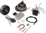 Alternatore + Sistema Di Accensione 6V 100 W Es 175-300/0/1/2 Ed Ets 250