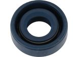 Guarnizione Albero 10X20X07, Blu, Doppio Labbro