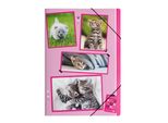 Pagna® 21717-15 Cartella Elastica Xoxo Cats - A4, 3 Lembi, Pp