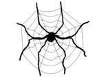 Ragno Gigante - Decorazione Per La Stanza Di Halloween