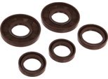 Set: Motore Guarnizioni Albero, Marrone, Doppio Labbro - Per Mz TS125, TS150