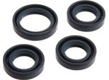 Set: Motore Guarnizioni Per Alberi, Blu, Doppio Labbro - Per RT125/3