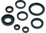 Set: Anelli Di Tenuta Dell'albero, 8 Pezzi, Blu, Doppio Labbro - Awo 425 Sport
