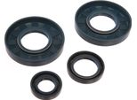 Set: Motore Guarnizioni Per Alberi, Blu, Doppio Labbro - Per Mz ES175/1, ES250/1, ES300