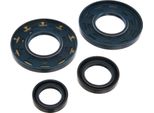 Set: Motore Guarnizioni Per Alberi, Blu, Doppio Labbro - Per Mz TS250