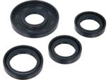 Set: Motore Guarnizioni Per Alberi, Blu, Doppio Labbro - Per Mz ETZ125, ETZ150