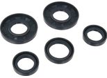 Set: Motore Guarnizioni Per Alberi, Blu, Doppio Labbro - Per Mz TS125, TS150