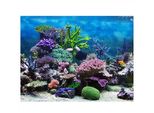 Pvc -Adesivo Subacqueo -Corallo -Acquario -Vasca Di Pesce Sfondo Poster Carta Decorazione (76*30 Cm)