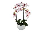Pianta Artificiale Phalaenopsis 52 Cm In Vaso Di Ceramica Rosa Real Touch, Facile Da Curare Ed Elegante