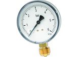 Watts Rohrfedermanometer Anschl. Unten D= 80Mm, 1/2 0 - 10 Bar